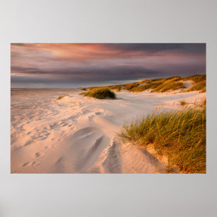 Poster Littoral   Saltum Beach, Danemark