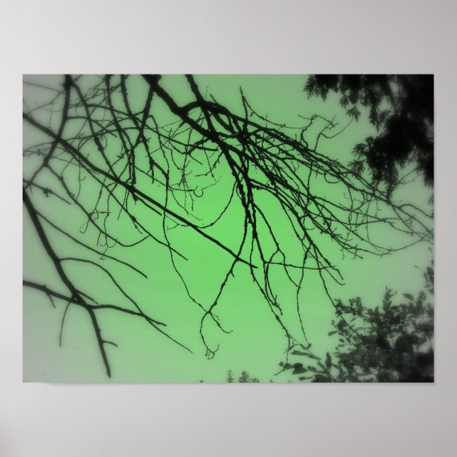 Poster Live Green (Devant)