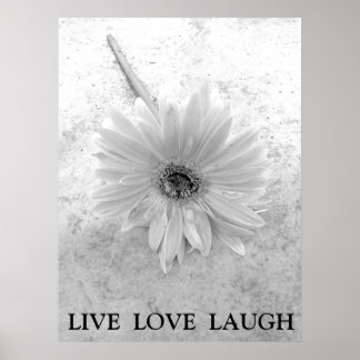 Poster Live Love Laugh Black and White Gerber Daisy