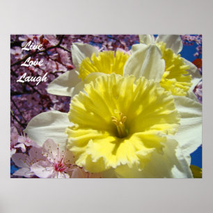 Poster Live Love Laugh imprimés Printemps Daffodil Fleurs