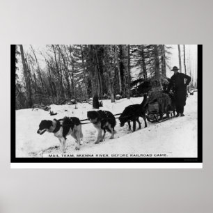 Poster Livraison du courrier par une équipe de chiens 190