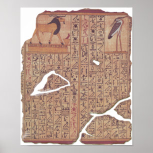 Poster Livre des Morts - Ani