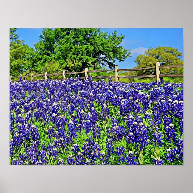 Poster Livre d'histoire Bluebonnet Fleurs Art photographi (Devant)