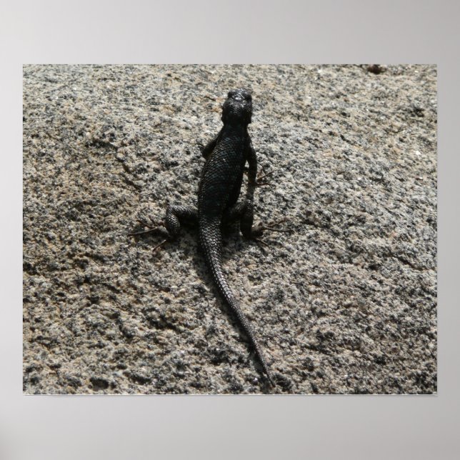 Poster Lizard noir (Devant)