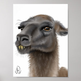 Poster Llama