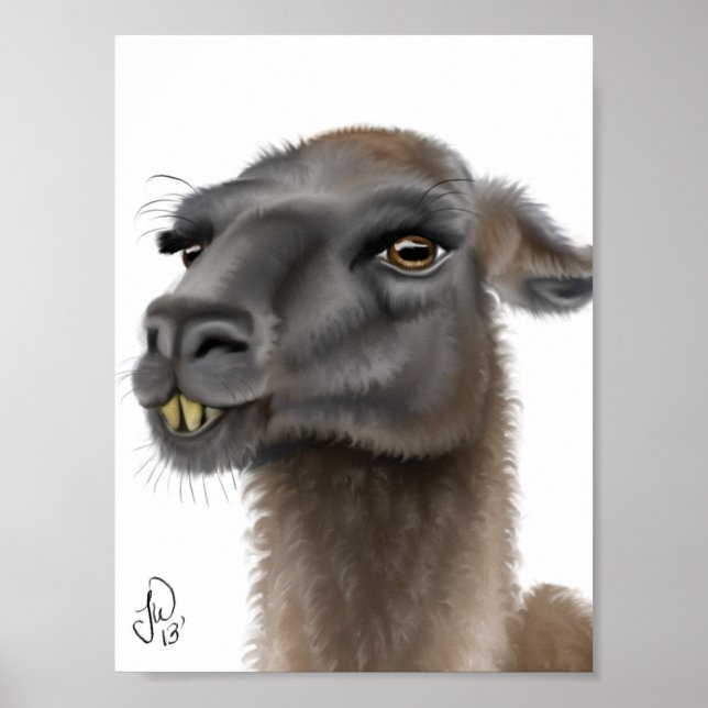 Poster Llama (Devant)