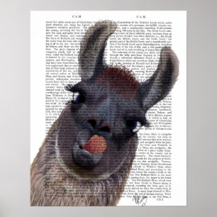 Poster Llama