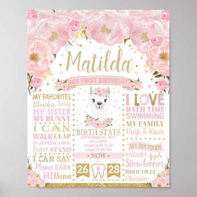 Poster Llama 1er Anniversaire Jalons de naissance Statist (Devant)