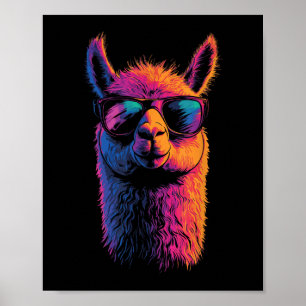 Poster Llama Drôle Avec Sungles Coloré Pas De Drame Anima
