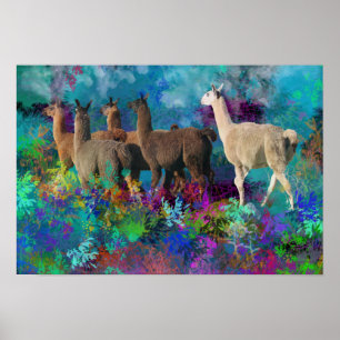 Poster Llama Five Walk in Imaginaire Land for Camelids