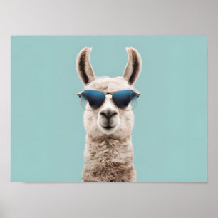 Poster Llama surréaliste avec lunettes de soleil sur Arri
