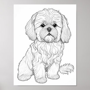 Poster Llasa Apso Chien Adulte Coloration
