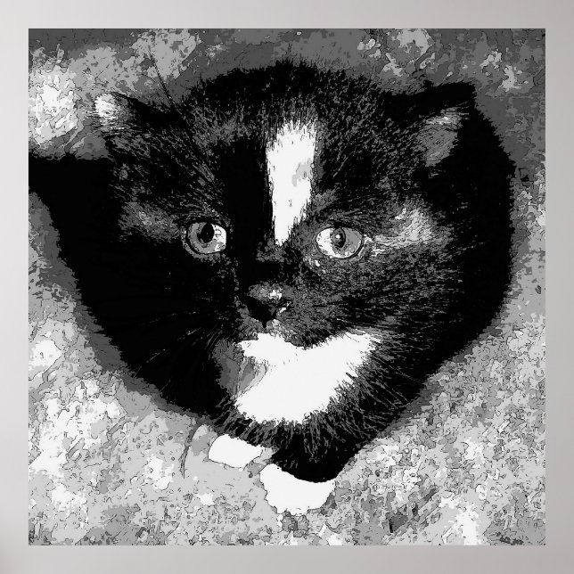 Poster L'observateur silencieux (Devant)