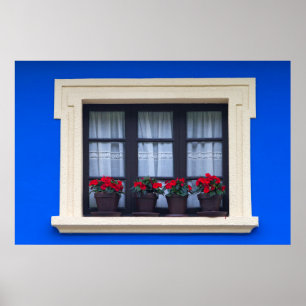 Poster Logement résidentiel avec des fleurs dans les fenê