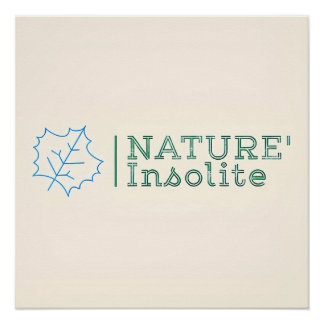 Poster: Logo der Sendung Poster