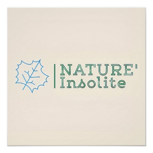 Poster: Logo der Sendung Poster (Vorderseite)