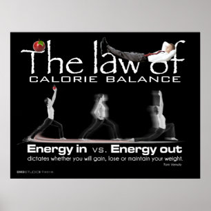 Poster Loi sur l'équilibre calorique