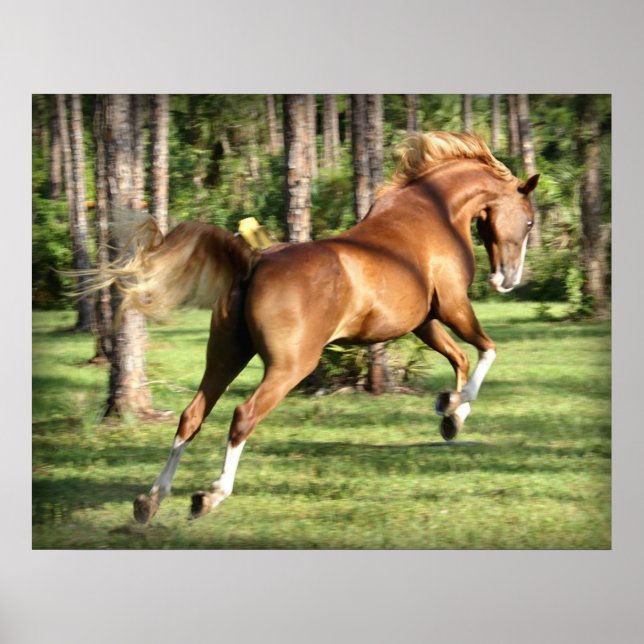 Poster Loie Lou S'Amusant (Devant)