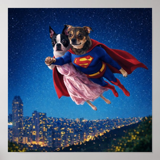 Poster "Lois & Kal" (Devant)