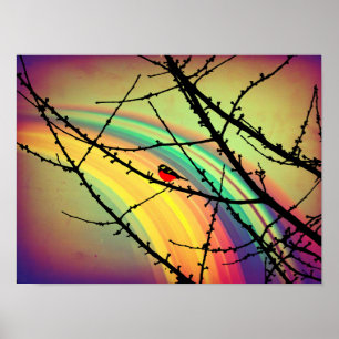 Poster L'oiseau et l'arc en ciel