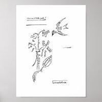 L'oiseau et le bouquet, par Apollinaire