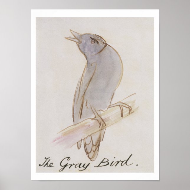 Poster L'Oiseau gris, de 'Seize dessins de Bir comique (Devant)