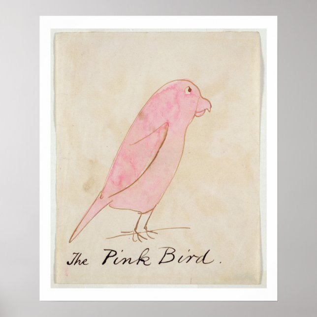 Poster L'oiseau rose, de 'Seteen Drawings of Comic Bir (Devant)