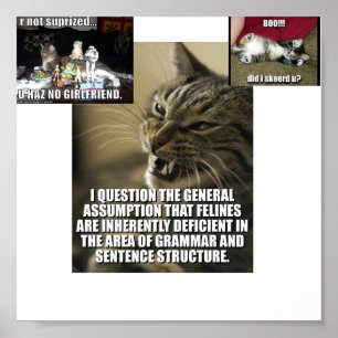 Poster lol-catz-grève-de retour,