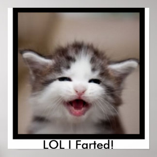 Poster LOL I Farted !