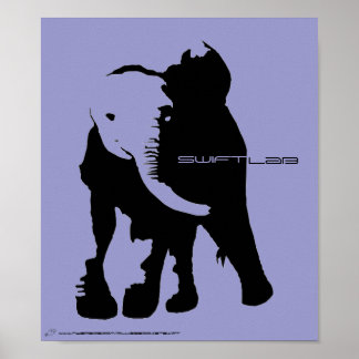 Poster l'ombre d'éléphant, le noir de tête d'oiseau, rapi
