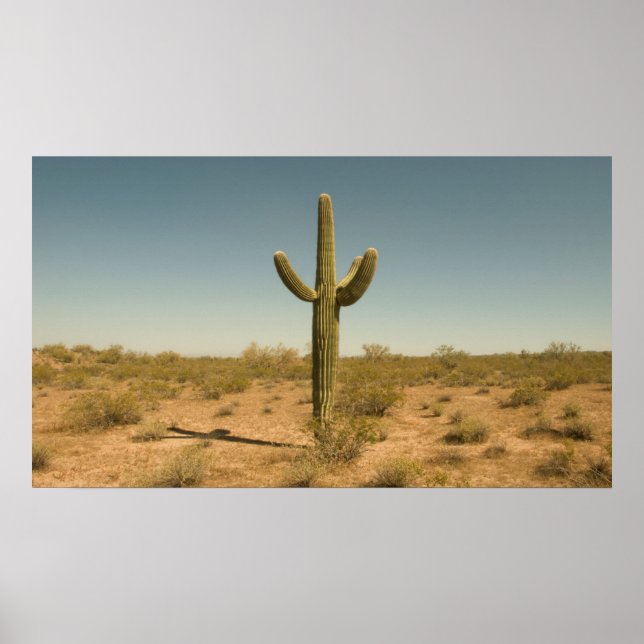 Poster Lone Cactus (Devant)