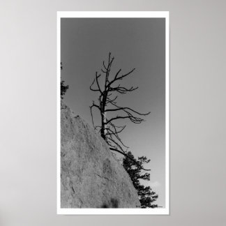 Poster Lone Sky Tree, photo numérique de Mark Easton