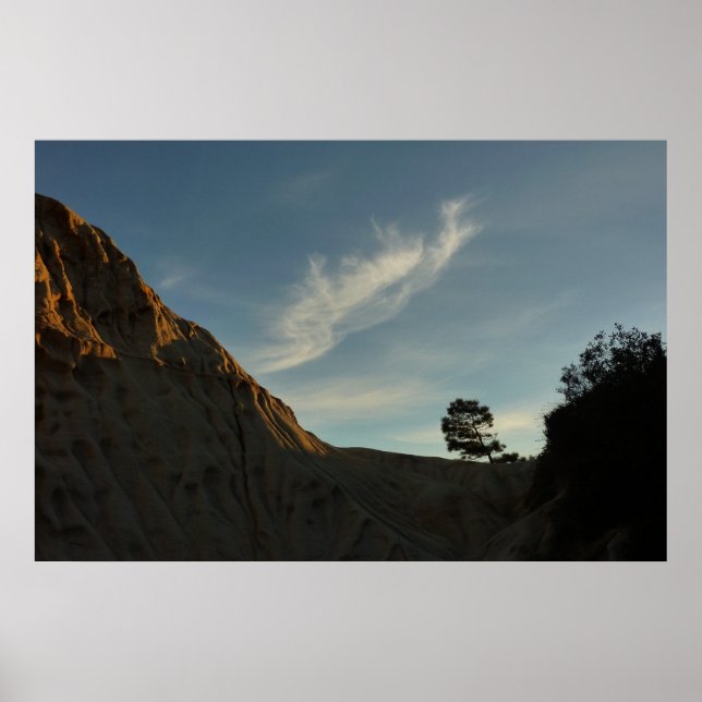 Poster Lone Torrey Pine Californie Sunset Paysage (Devant)