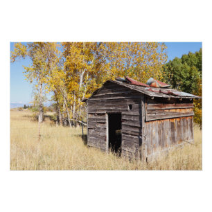 Poster Lonely Little Shed