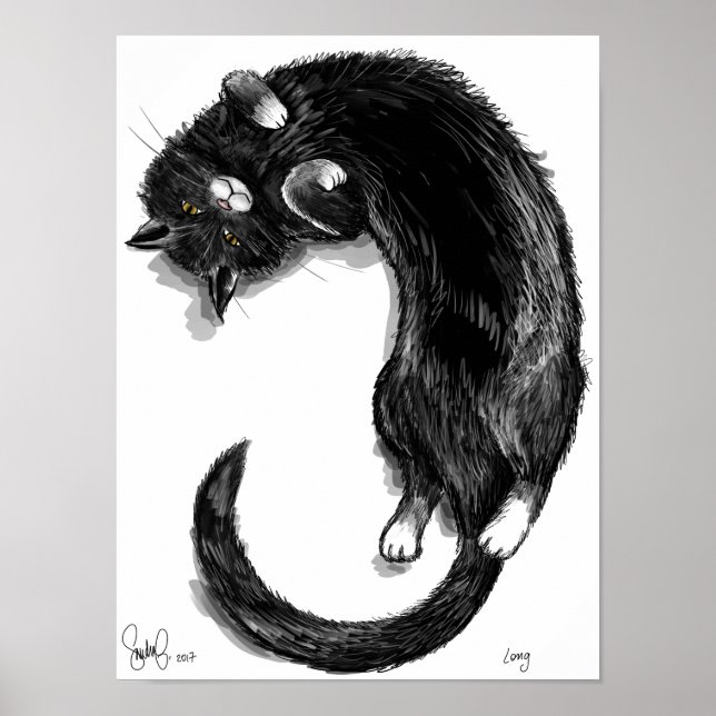 Poster Long (Devant)