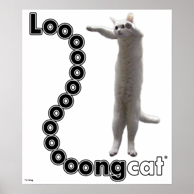 Poster Longcat est long (Devant)