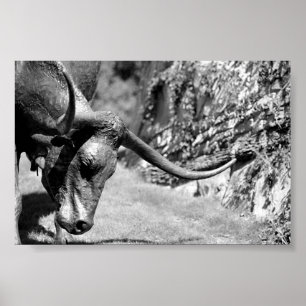 Poster Longhorn Manger