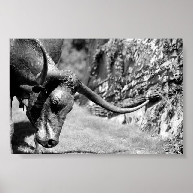 Poster Longhorn Manger (Devant)