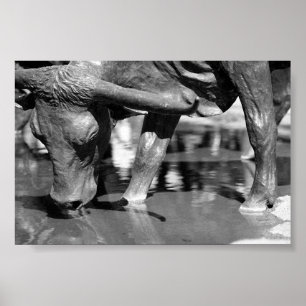 Poster Longhorn potable