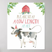 Longueur de la vache à l'exception des animaux de