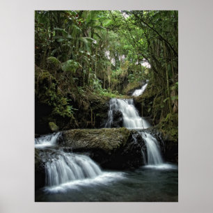 POSTER L'ONOMIE DE HAWAII TOMBE