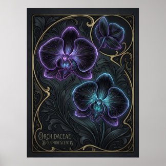 Poster L'orchidée noire fleurit avec du violet biolumines