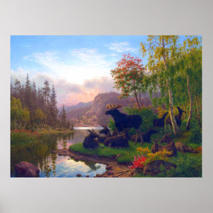 Poster L'orignal majestueux dans un paysage d'automne sué