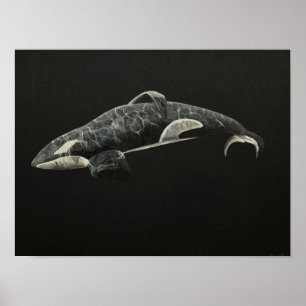 Poster L'orque