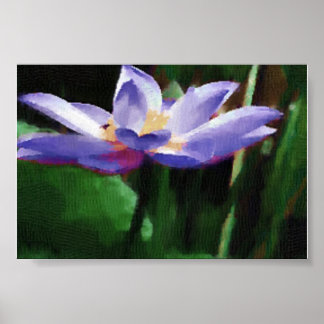 Poster lotus