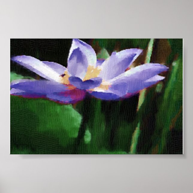 Poster lotus (Devant)