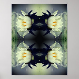 Poster Lotus Water Lily Miroir de fleurs Art Abstrait