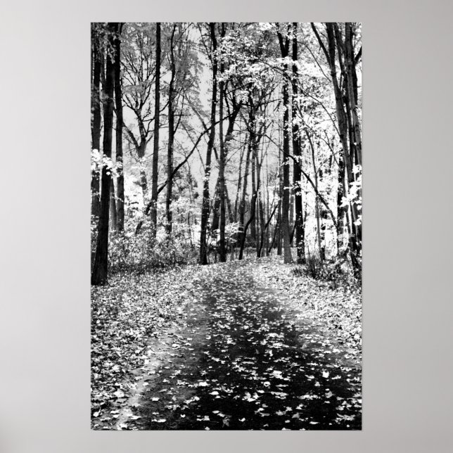 Poster Loud Whisper (Devant)