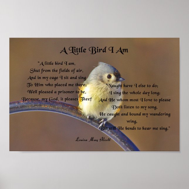 Poster Louisa May Alcott, Un Petit Oiseau Je Suis (Devant)