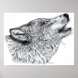 Poster Loup